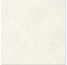 Produktbild: Wand- und Bodenfliese Ares white 29,8x29,8 cm matt