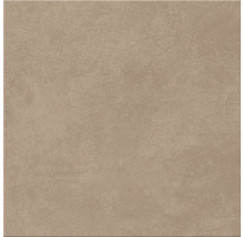 Produktbild: Wand- und Bodenfliese Ares brown 29,8x29,8 cm matt