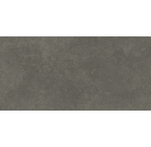 Produktbild: Wand- und Bodenfliese Ares grey 29,8x59,8 cm matt rektifiziert,