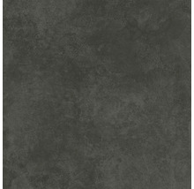 Produktbild: Wand- und Bodenfliese Ares graphite 59,8x59,8 cm matt rektifiziert