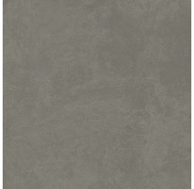 Produktbild: Wand- und Bodenfliese Ares grey 59,8x59,8 cm matt rektifiziert4