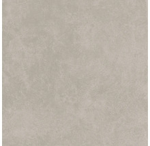 Produktbild: Wand- und Bodenfliese Ares light grey 59,8x59,8 cm matt rektifiziert