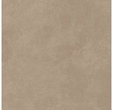 Produktbild: Wand- und Bodenfliese Ares brown 59,8x59,8 cm matt rektifiziert