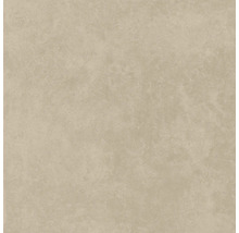 Produktbild: Wand- und Bodenfliese Ares mocca 59,8x59,8 cm matt rektifiziert