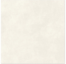 Produktbild: Wand- und Bodenfliese Ares white 59,8x59,8 cm matt rektifiziert