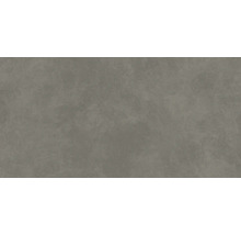 Produktbild: Wand- und Bodenfliese Ares grey 59,8x119,8 cm matt rektifiziert