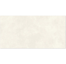 Produktbild: Wand- und Bodenfliese Ares white 59,8x119,8 cm matt rektifiziert