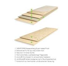 Diagramm des Aufbaus einer Korkplatte