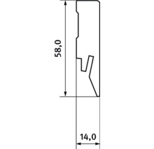 Abmessungen eines Profils: 58,0 x 14,0 Millimeter