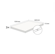 Technische Zeichnung von drei Platten, Maße 1250 Millimeter mal 660 Millimeter mal 12 Millimeter, mit Nut-Feder-Verbindung.