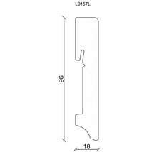 Technische Zeichnung eines Profils mit den Maßen 96 mal 18 Millimeter.