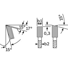 Technische Zeichnung eines Werkzeugs mit Winkel- und Maßangaben