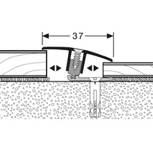 Schema einer Übergangsschiene mit einer Breite von 37 Millimetern