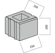 Hohlblockstein mit den Maßen 250 x 250 x 200 Millimeter