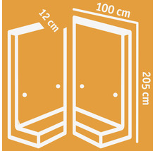 Technische Zeichnung einer Duschkabine mit Maßangaben 12 cm, 100 cm und 205 cm.