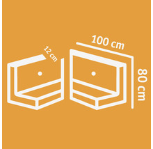 Zeichnung eines Regals mit den Maßen 100 Zentimeter Breite, 80 Zentimeter Höhe und 12 Zentimeter Tiefe