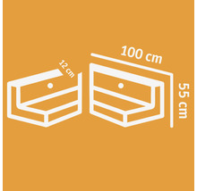 Technische Zeichnung eines Schubladenelements mit den Maßen 100 cm, 55 cm und 12 cm.