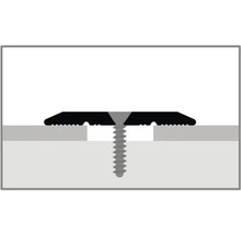 Illustration eines Übergangsprofils mit Schraube