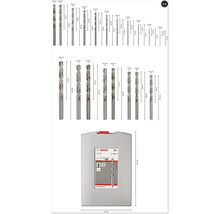 Bosch HSS-G Metallbohrer Set mit verschiedenen Größen und Bohrer-Kassette