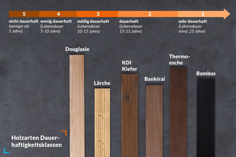 Haltbarkeitsklassen verschiedener Holzarten im Überblick