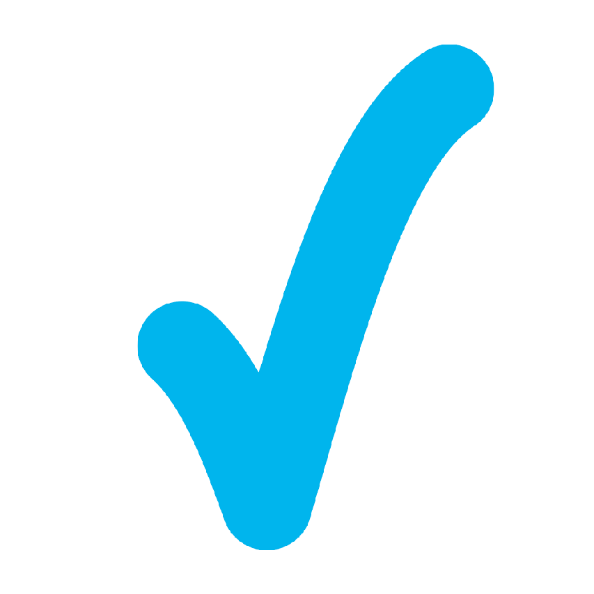 Häkchen-Symbol: Bestätigung