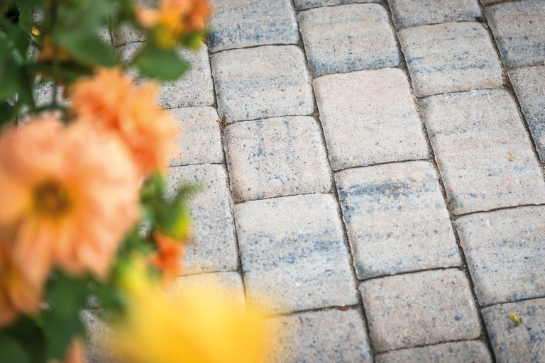 Verbundsteine für den Außenbereich mit Pflanzen im Vordergrund.