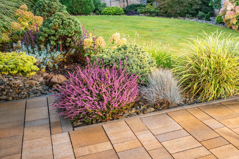 Gartenszene mit blühender Heide, Ziergräsern und Steinpflaster