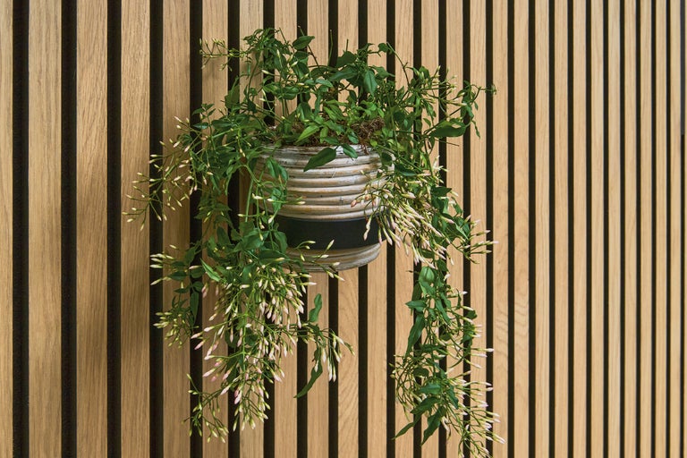 Wandpaneele verschönern mit Sonava Zubehör