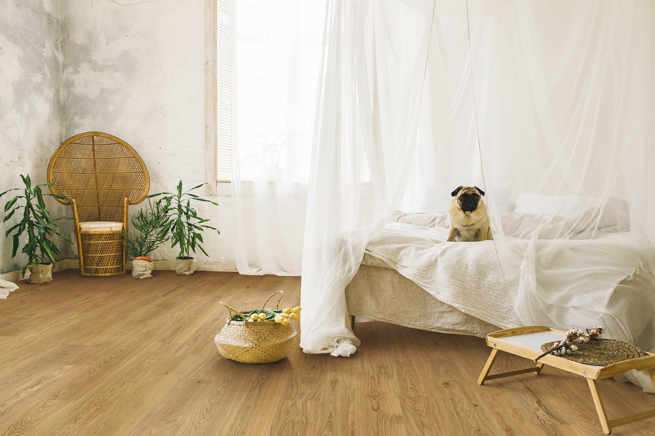 Heller Raum mit Holzboden, Bett mit Baldachin, Korbsessel und Dekorationen für ein gemütliches Ambiente