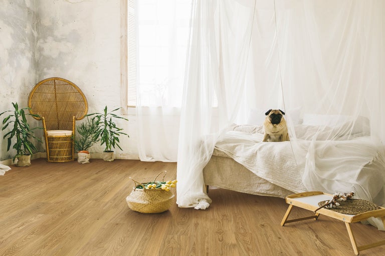 Heller Raum mit Holzboden, Bett mit Baldachin, Korbsessel und Dekorationen für ein gemütliches Ambiente